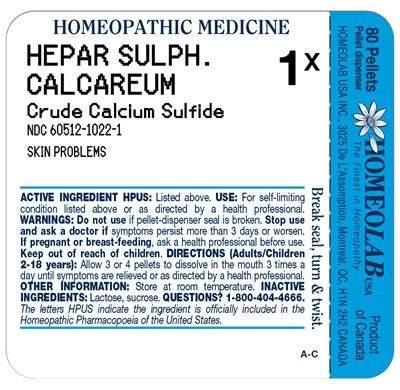 Hepar sulph calcareum label.jpg image of tube label - Hepar sulph calcareum label